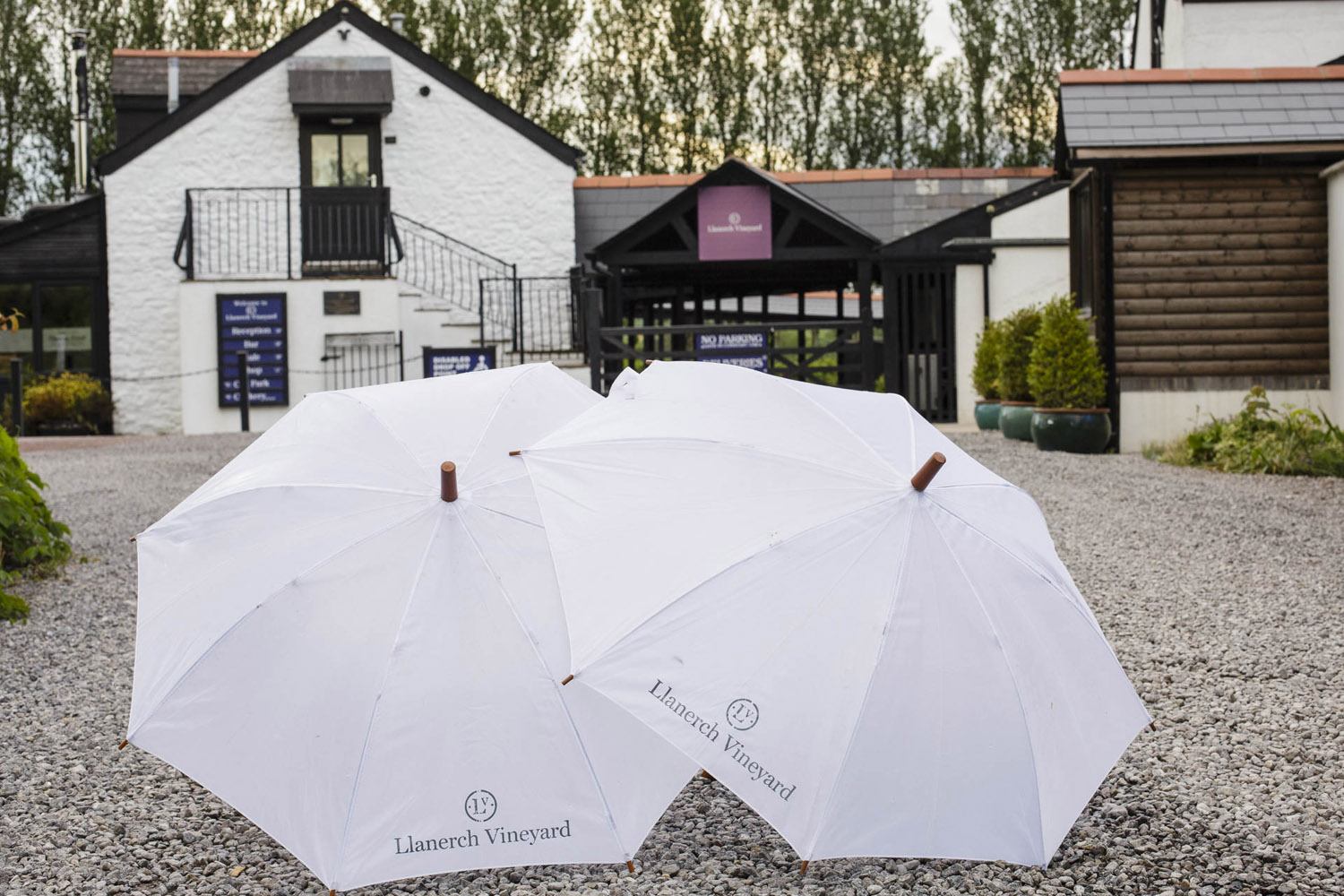 Wedding Photographer Llanerch Vineyard Umbrellas in rain