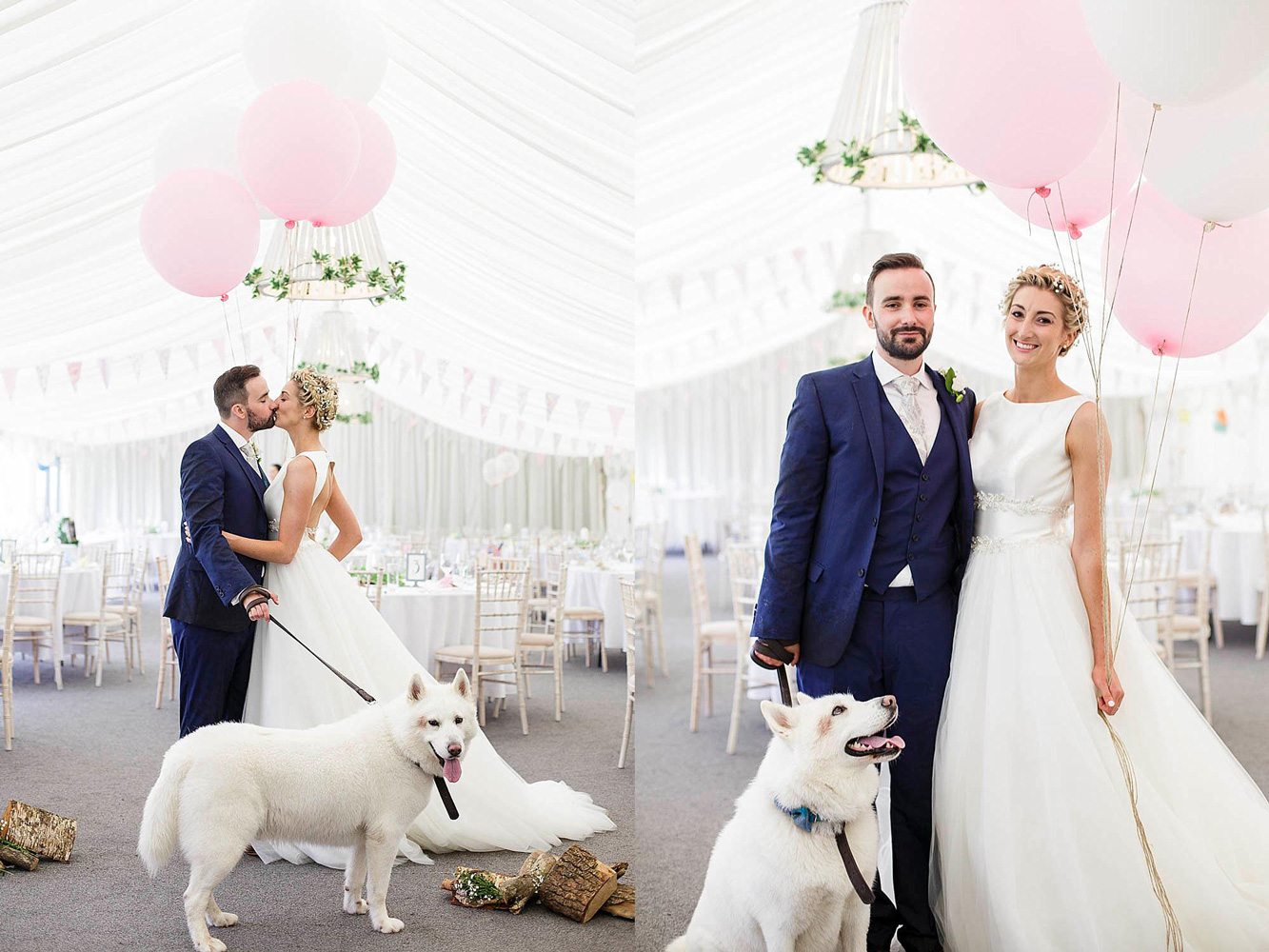 Wedding Photographer Llanerch Vineyard Bride Groom Dog