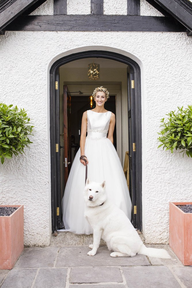 Wedding Photographer Llanerch Vineyard Husky Dog Bride